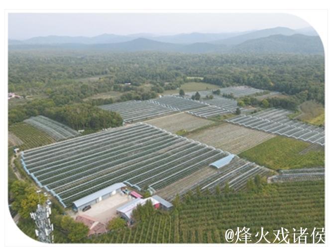 “三夏”里的新质生产力 “三夏”里的新质生产力